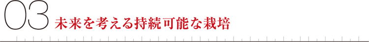 03未来を考える持続可能な栽培