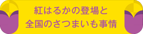 紅はるかの登場と全国のさつまいも事情