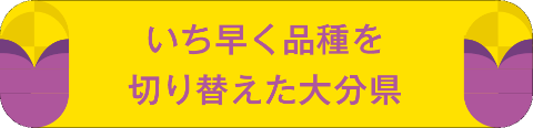 いち早く品種を切り替えた大分県