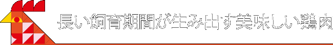 幻の地鶏を復活させた一人の情熱