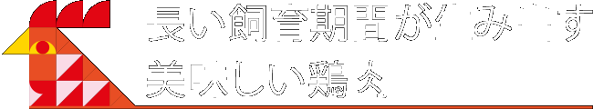 幻の地鶏を復活させた一人の情熱