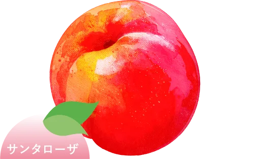 サンタローザ