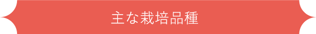 主な栽培品種