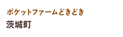 ポケットファームどきどき 茨城町