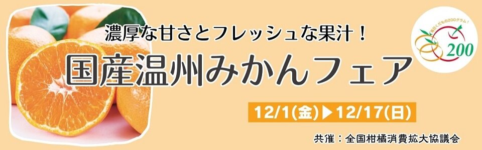 HPバナー：国産温州みかん - コピー.jpg