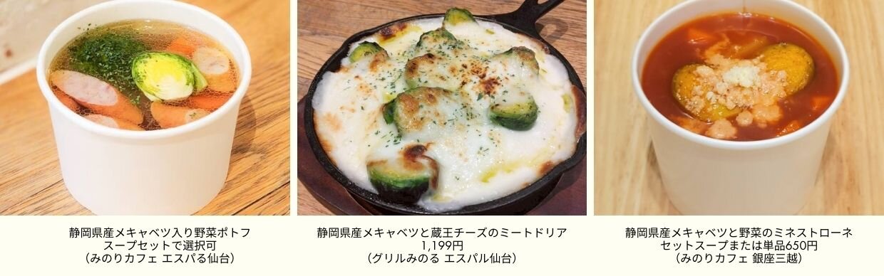 みのりみのるHP用（R7芽キャベツ）.jpg