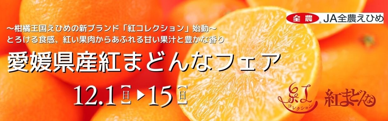 紅まどんなフェアバナー（HP).jpg