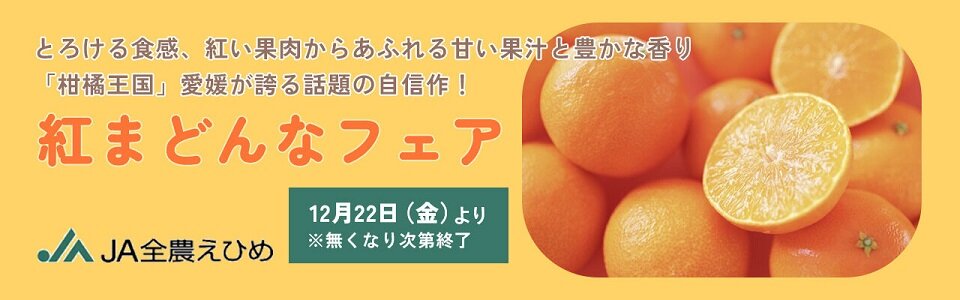 ehime_banner_pc_231219 - コピー.jpg