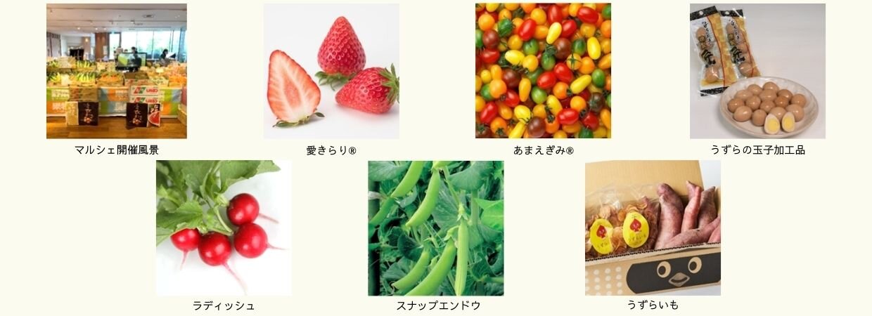リリース用（MMHP）.jpg