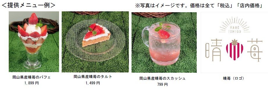 スクリーンショット 2025-02-14 164205.jpg