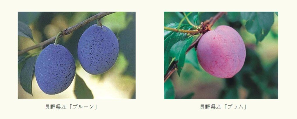 スクリーンショット 2025-08-19 123315.jpg