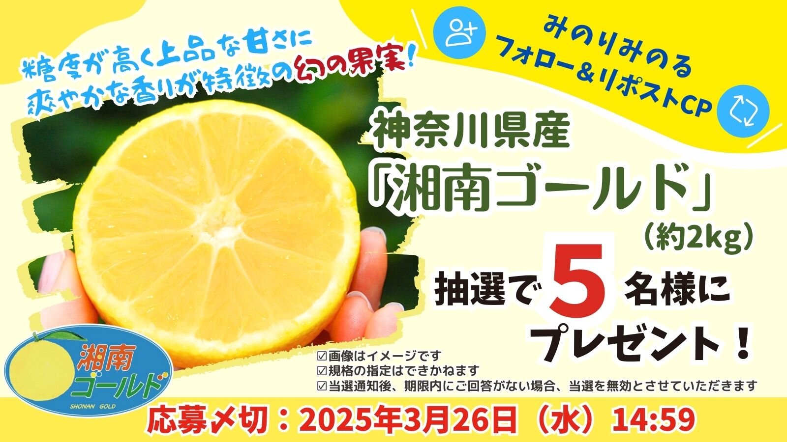 XCP画像.jpg
