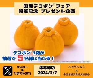XCP：デコポンフェア.jpg