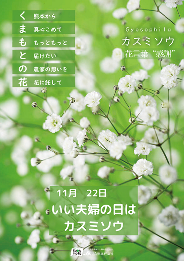カスミソウPOP.png