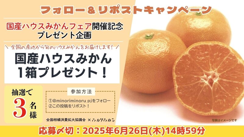 XCP_日園連みかん.jpg