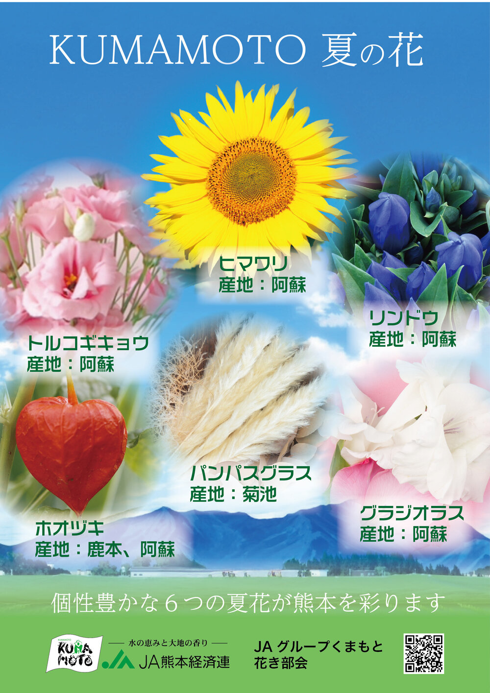 夏の花フェア_2507_03.jpg