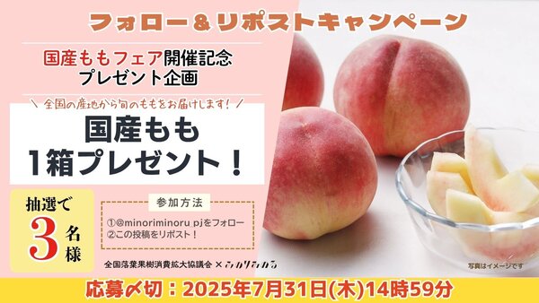 日園連：R7_XCP（もも）.jpg