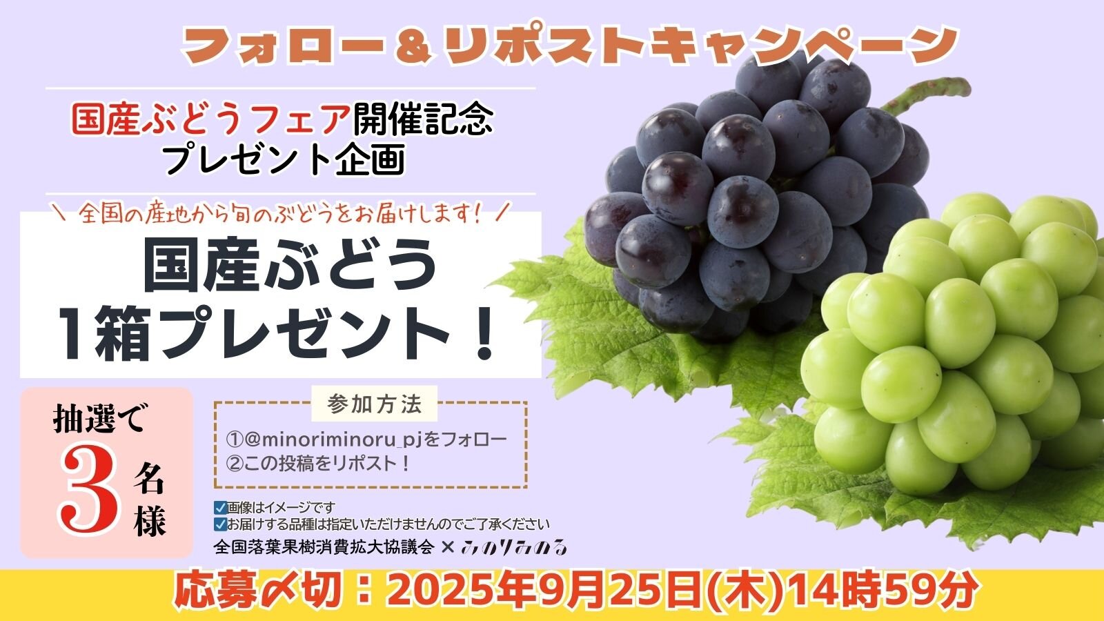 日園連：R7_XCP.jpg