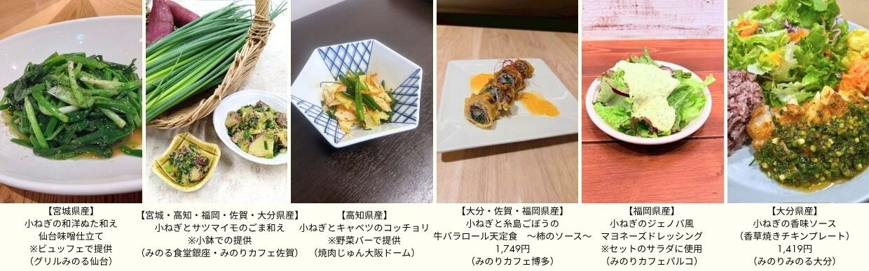 みのりみのるHP用（R7小ねぎ）.jpg