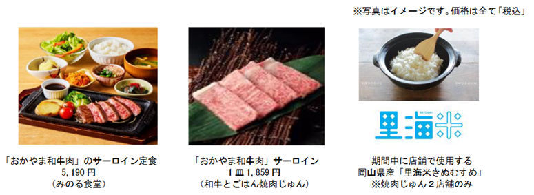 Webおかやま.png