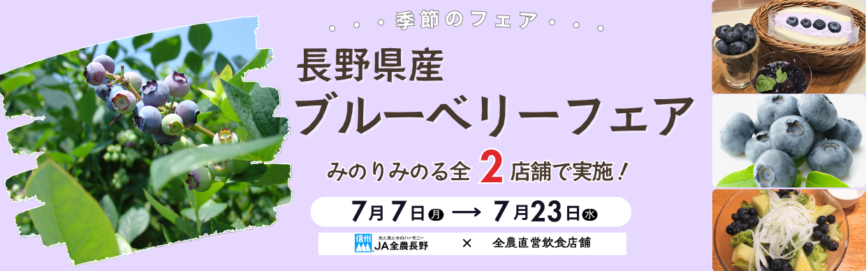 長野ブルーベリー.png